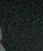 LTBR0336.png