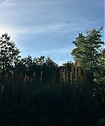 Filename=SSBR00189.jpg
Filesize=989KiB
Dimensions=1440x1800
Date added=Feb 14, 2025 SSBR00189.jpg